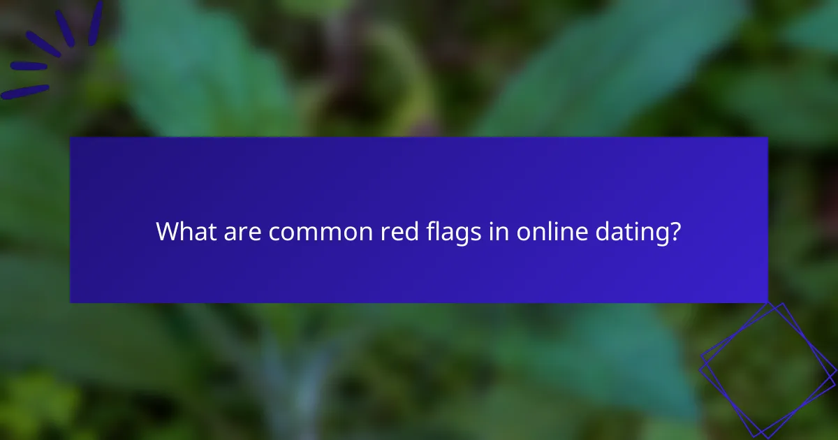 What are common red flags in online dating?
